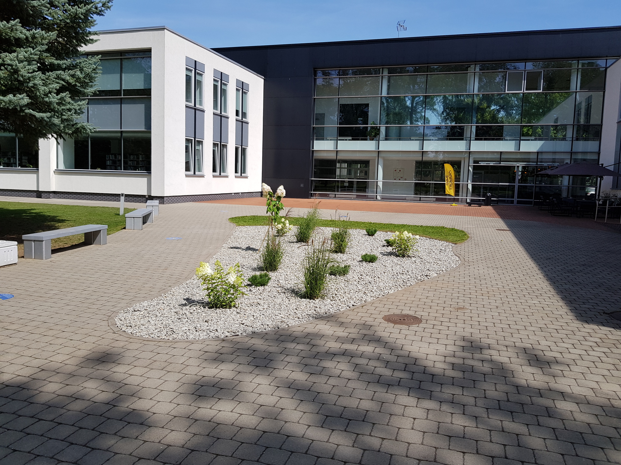 Apželdinimo Projektas